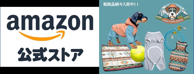 アマゾンストア